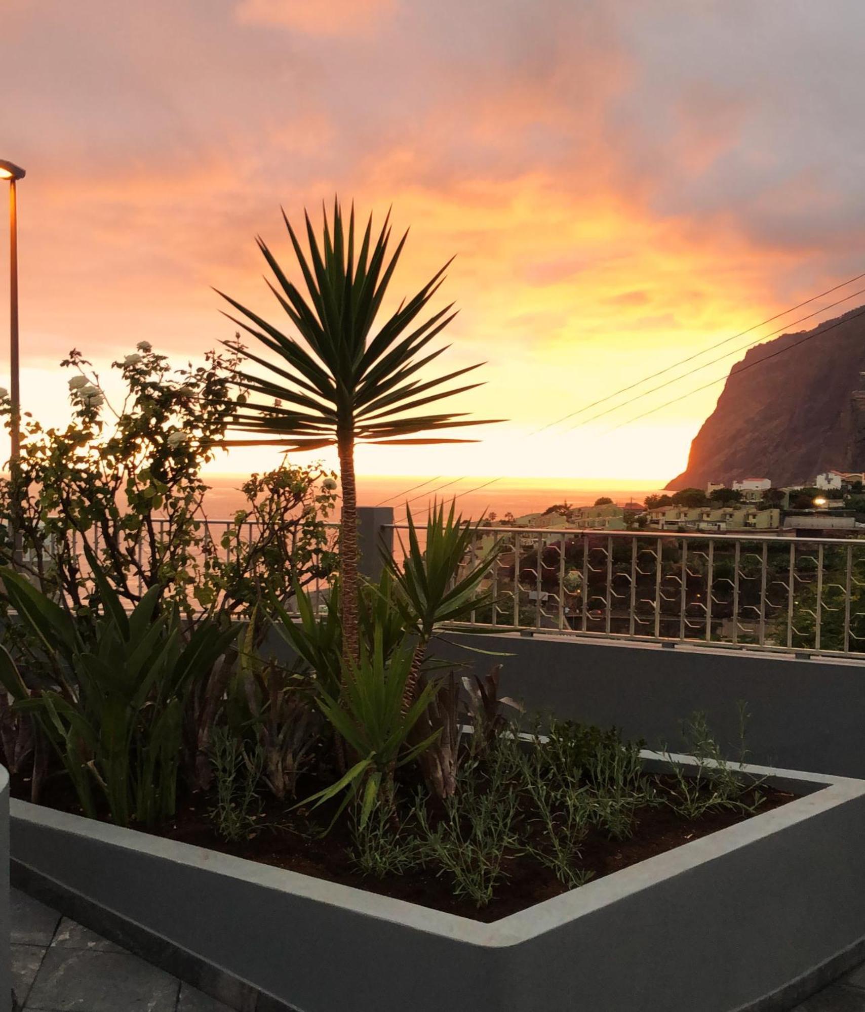 Oasis Suites - Funchal エクステリア 写真
