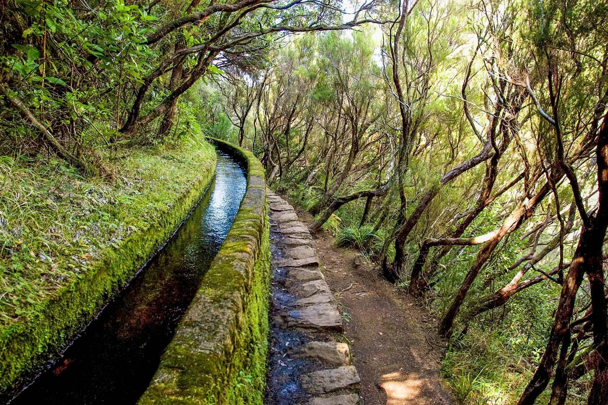 Oasis Suites - Funchal エクステリア 写真
